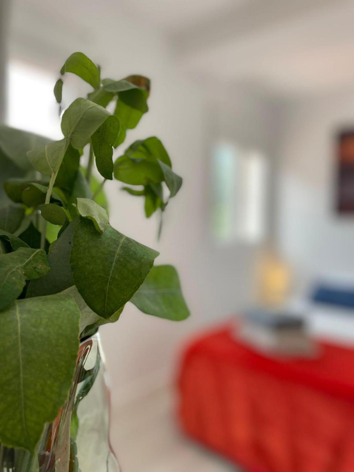 Villa Felicidad Vigo Ngoại thất bức ảnh